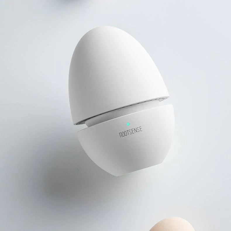 Refrigerator Deodorizer Egg