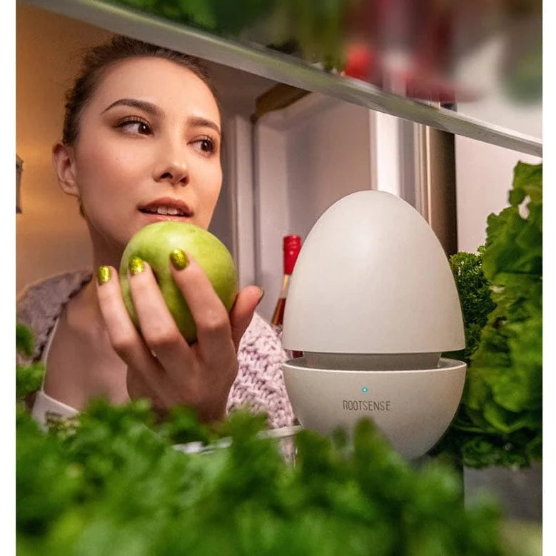 Refrigerator Deodorizer Egg